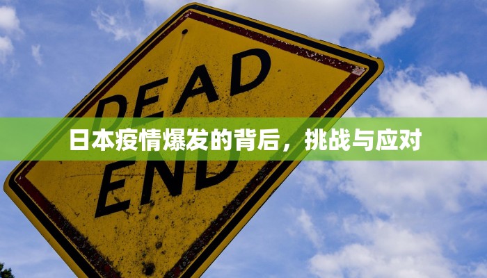 启东黄金价今日金价
