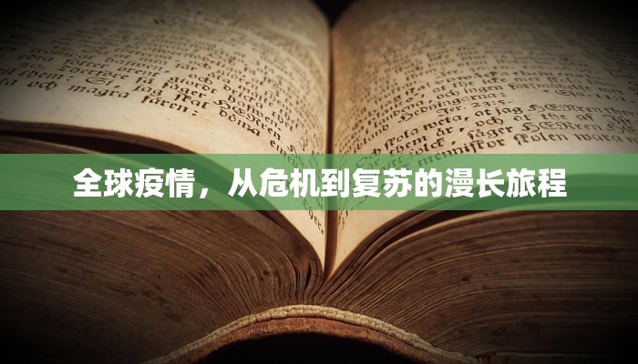 全球疫情，从危机到复苏的漫长旅程