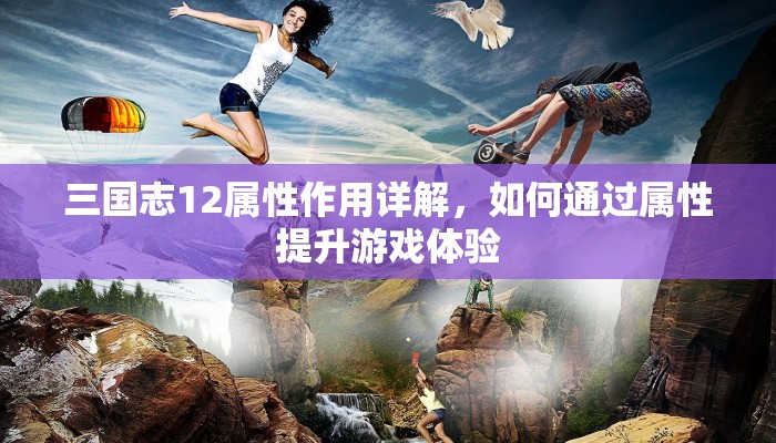 三国志12属性作用详解，如何通过属性提升游戏体验