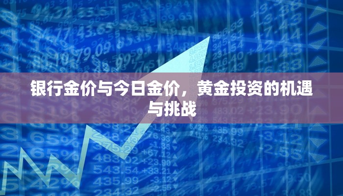 邯郸永年单双号限行图解，政策解读、实施效果与市民应对策略