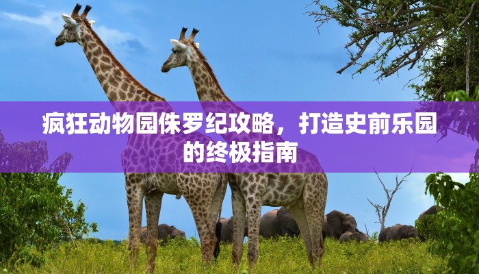 实操教程""飞鹰互娱大厅 微信牛牛链接房卡在哪获取”详细房卡怎么购买教程