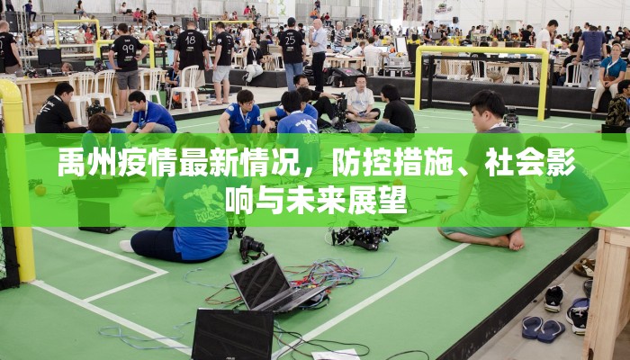 禹州疫情最新情况，防控措施、社会影响与未来展望