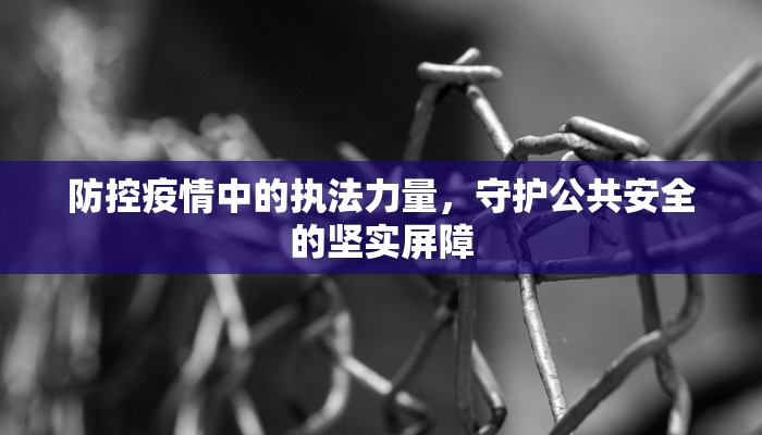 防控疫情中的执法力量，守护公共安全的坚实屏障