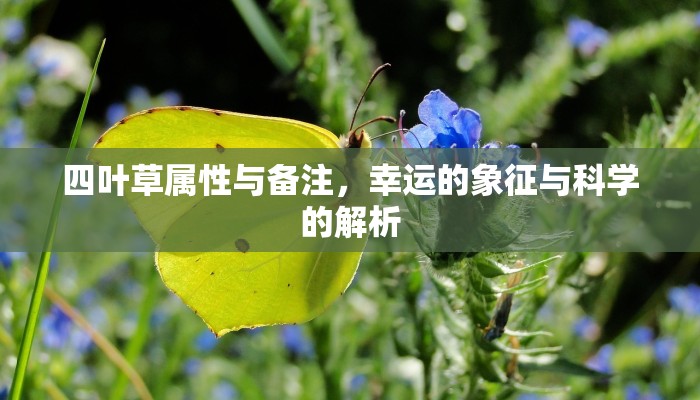 玩家必看！新永和大厅购买联系方式"房卡充值教程-知乎
